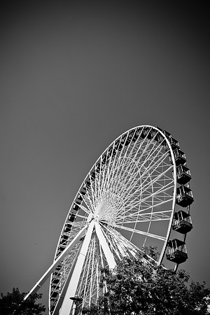 0015_DG_Chicago_USA_2009_5L8Y1415