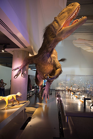 20170508_Science_Museum_9C7C5693