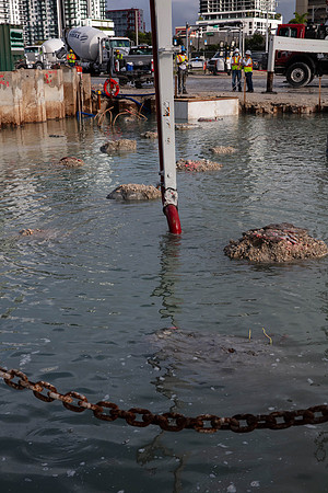 20201010_Connecting_Miami__MG_4894