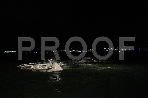 20141204_Pamm_Basel_2014_AL1B6100