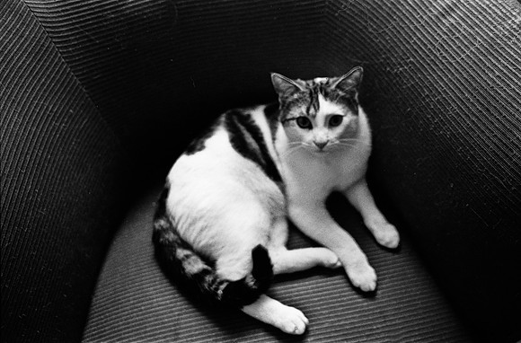 2514_FM_BW_35MM_CW_FOLES_1989_017