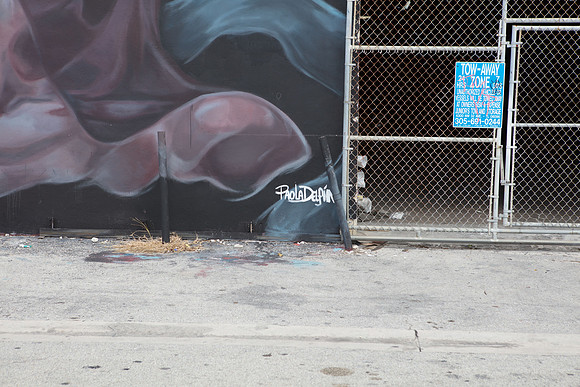 20161108_Wynwood_H5D2943