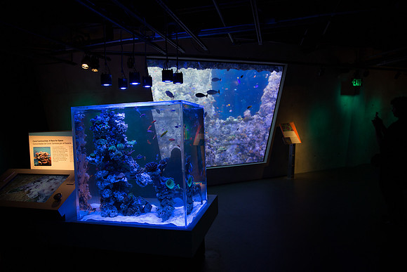 20170508_Science_Museum_9C7C5659