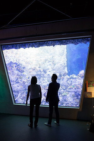 20170508_Science_Museum_9C7C5396