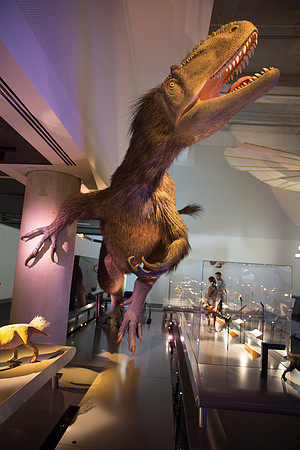 20170508_Science_Museum_9C7C5691