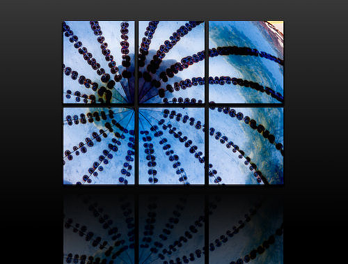 POLYPTYCH_BLUE_OBJECT_20080905_DVD26_DG_USA_Miami_to_LA_5091.tif