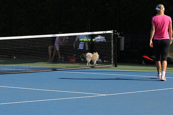20141224_CAROLINE_WOZNIACKI_AL1B1284