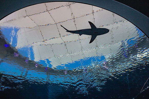 20170508_Science_Museum_9C7C5503