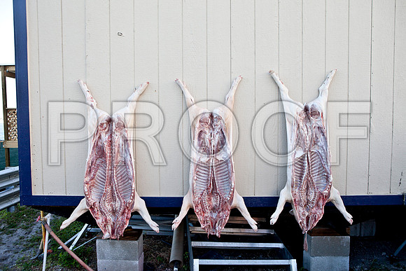 7023_DG_MAM_Project_Miami_FL-IMG_5496