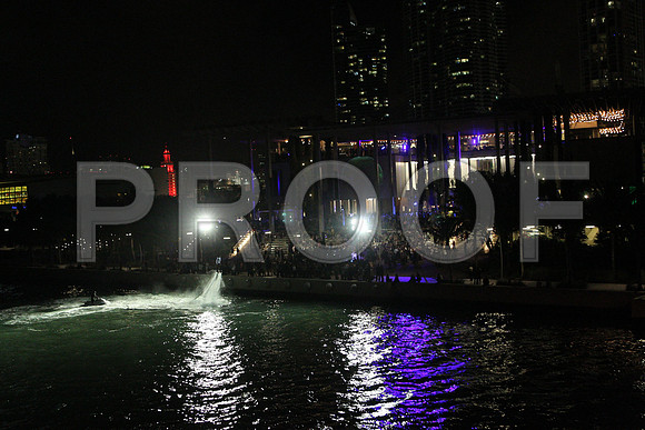 20141204_Pamm_Basel_2014_AL1B6500