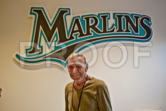 6058_DG_Marlin_Ballpark_Project_Miami_FL_20091012_AL1B5744