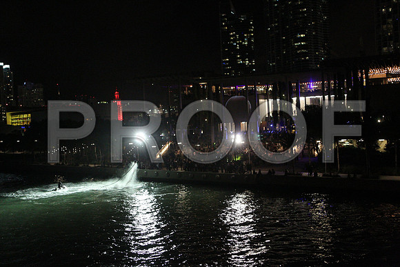 20141204_Pamm_Basel_2014_AL1B6498