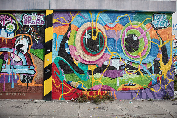 20161108_Wynwood_S5D3149
