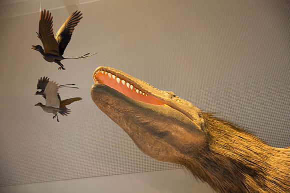 20170508_Science_Museum_9C7C5700