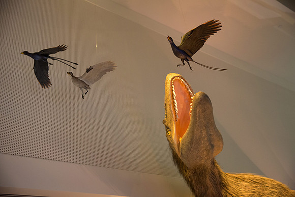 20170508_Science_Museum_9C7C5710