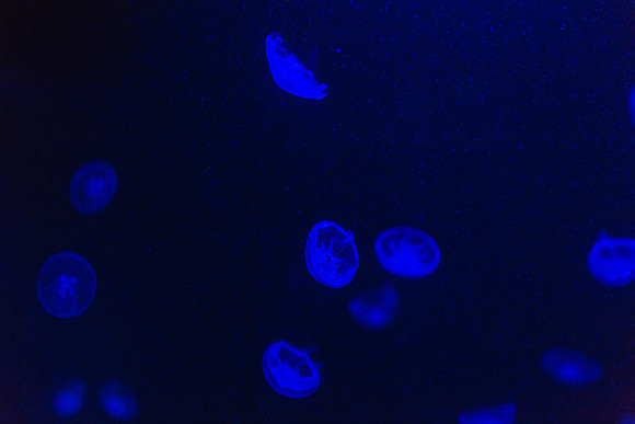 20170508_Science_Museum_9C7C5585