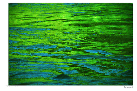 Zambezi 1
