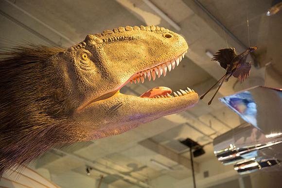 20170508_Science_Museum_9C7C5686