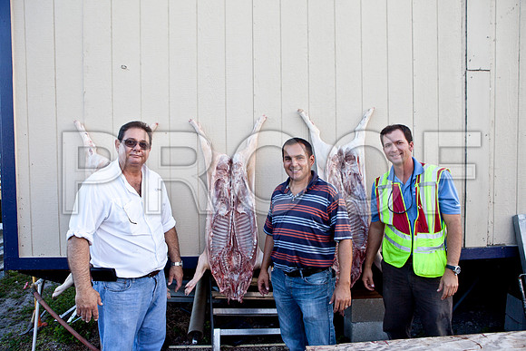 7023_DG_MAM_Project_Miami_FL-IMG_5491