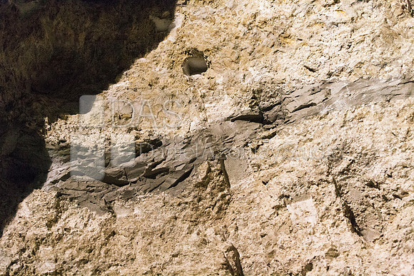20000810_A0M2148_SH