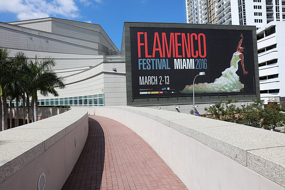 20160302_Arsht_075A2683
