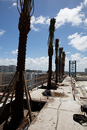 20160718_Hyde_Resort_&_Residences_Moriarty_S5A0545
