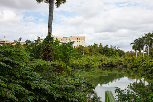 20210111_Connecting_Miami_75A8972