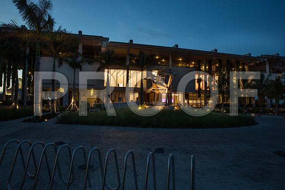 20140821_Pamm_CG3P1032