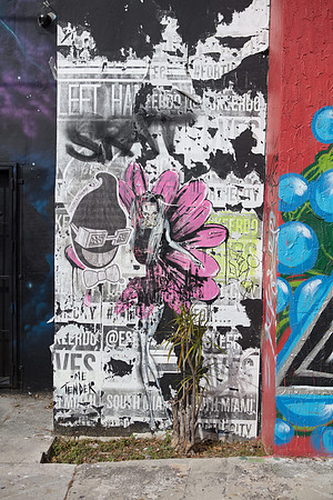 20161108_Wynwood_S5D3080