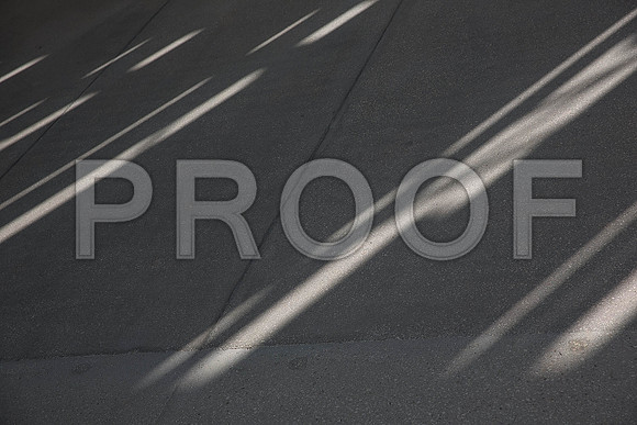 20140801_Pamm_9C7C7987