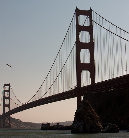0026_DG_San_Francisco_Bay_CA_USA_2009_5L8Y1995
