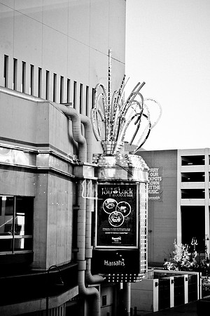 0022_DG_Reno_Nevada_Usa_20095L8Y9284