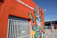 20161122_Wynwood_S5D1580