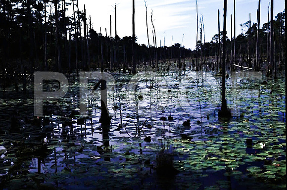85651_SL_COLOR_PENSACOLA_FL_97_17