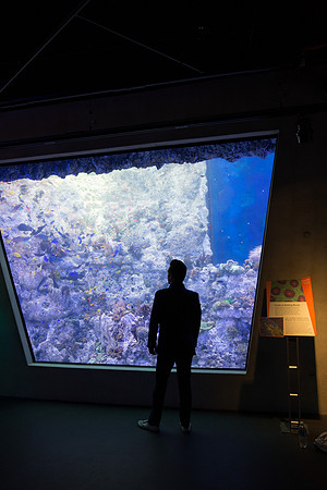 20170508_Science_Museum_9C7C5392