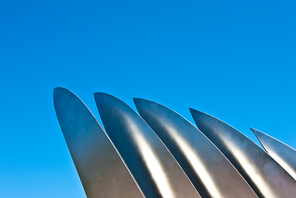 0026_DG_Tiburon_CA_USA_2009_5L8Y1928