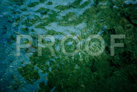 36172_DG_Color_USA_Harbour_Island_Bahamas_Related_GroupZV4N0945