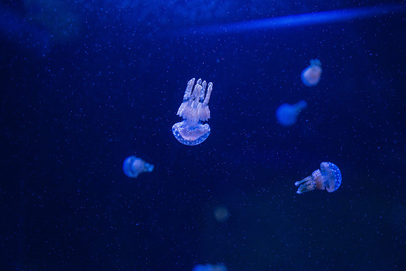20170508_Science_Museum_9C7C5573