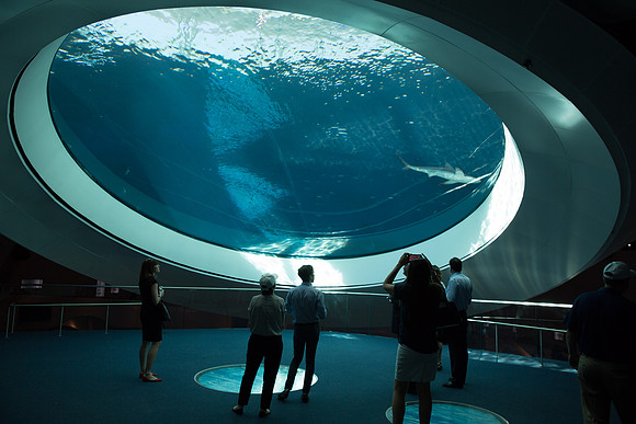 20170508_Science_Museum_9C7C5446