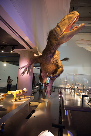 20170508_Science_Museum_9C7C5694