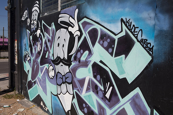 20161122_Wynwood_S5D1643
