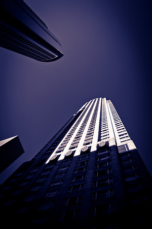 0015_DG_Chicago_USA_2009_5L8Y1695
