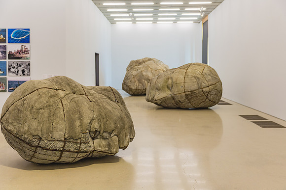 20150707_Pamm_9C7C3502