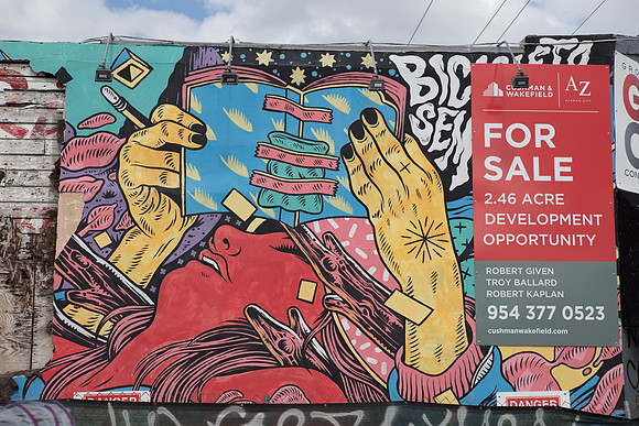 20161108_Wynwood_H5D2974