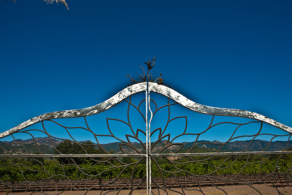 0024_DG_Calistoga_CA_USA_20095L8Y0310