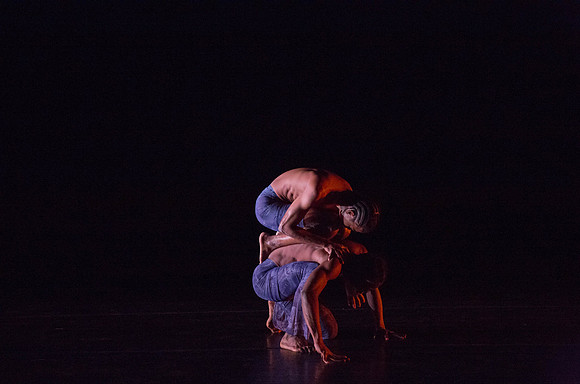 20131220_Ayikodans_Arsht__C7C1473
