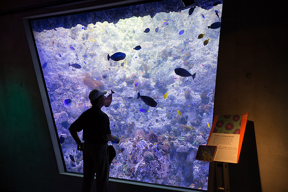 20170508_Science_Museum_9C7C5347