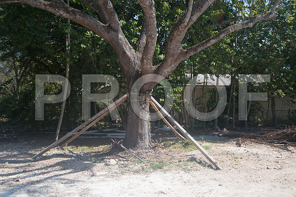 _RXP6946