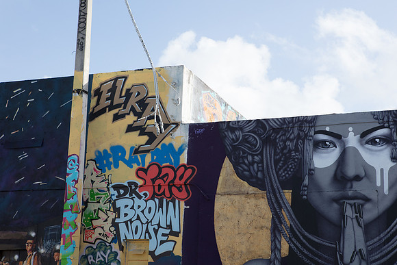 20161130_Wynwood_S5D2631