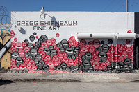 20161122_Wynwood_S5D1581